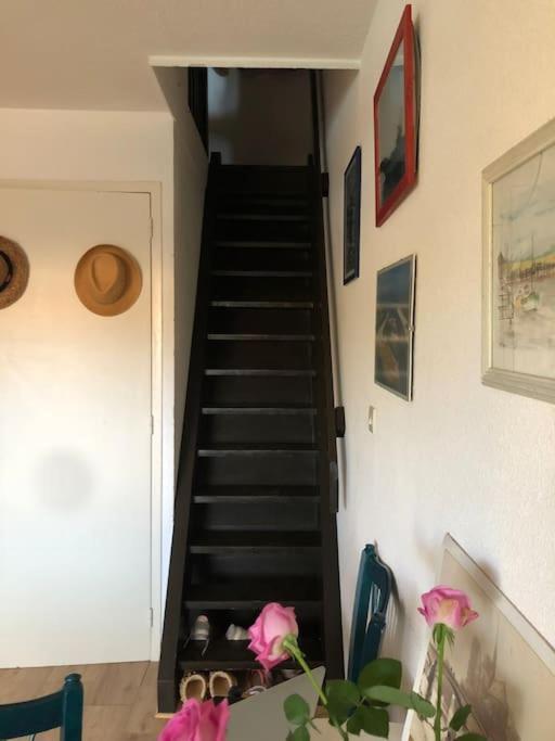 Ferienwohnung Le Marlin Du Phare Du Ferret Lège-Cap-Ferret Exterior foto
